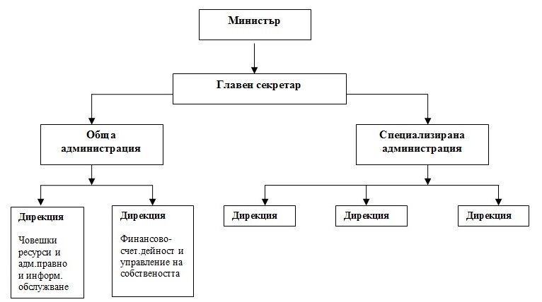 Vidoveorganizacionnistrukturi1.jpg