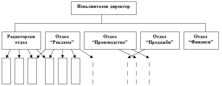 Vidoveorganizacionnistrukturi2.jpg
