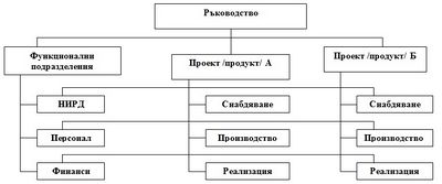 Vidoveorganizacionnistrukturi3.jpg