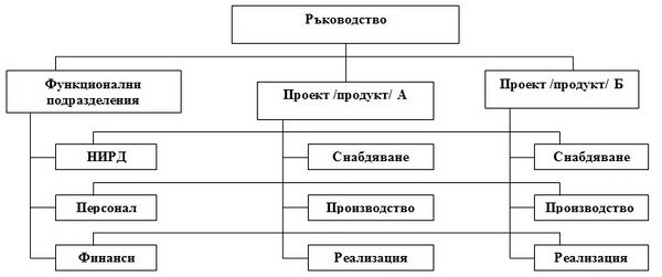 Vidoveorganizacionnistrukturi3.jpg