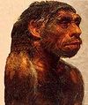 Evoluciq6.jpg