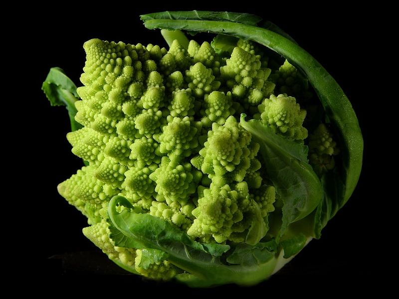Файл:Fractal Broccoli.jpg