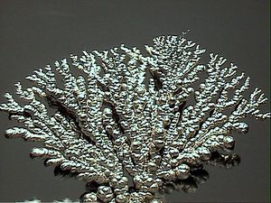 A picture of Nickel