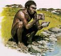 Evoluciq5.jpg