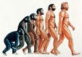 Evoluciq4.jpg