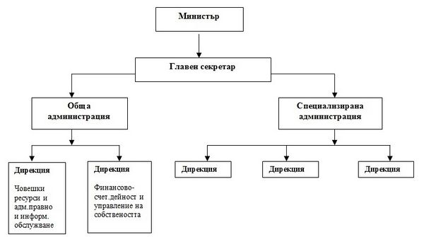 Vidoveorganizacionnistrukturi1.jpg
