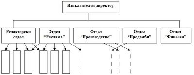 Vidoveorganizacionnistrukturi2.jpg