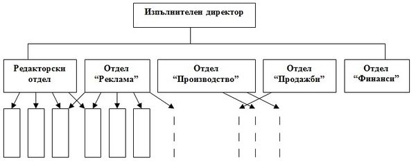 Vidoveorganizacionnistrukturi2.jpg