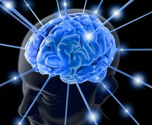human intelligence
